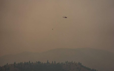 Mexican reinforcements arriving for wildfire fight in Summerland, B.C.