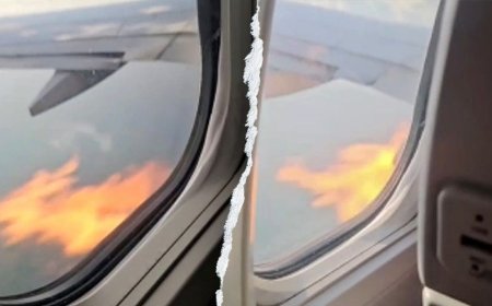 Flames shoot from American Airlines flight before emergency landing