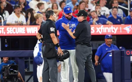 Blue Jays-Red Sox game thrown into chaos by 17-minute 'rules check,' massive scoreboard mistake