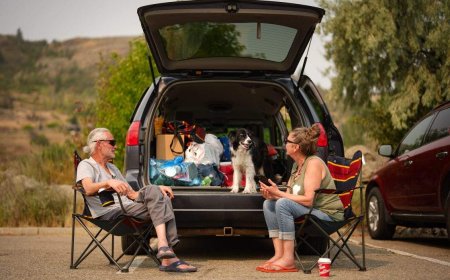 How to get EI if you can’t work because of wildfire evacuations
