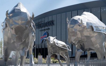 Buffalo Bills in damage control mode over their $2.2 billion stadium that is getting crushed online by fans