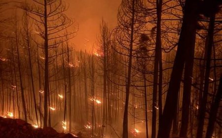 B.C. to provide wildfire and drought update as more than 100 fires burn