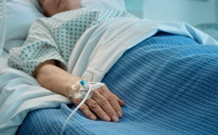 Dangerous drug-resistant fungus spreads across US, reaching 27 states