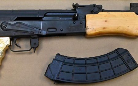Calgary police charge 8 people in organized crime investigation involving drugs, guns