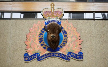 Manitoba RCMP investigating death of 4-year-old girl, injuries to 2 toddlers