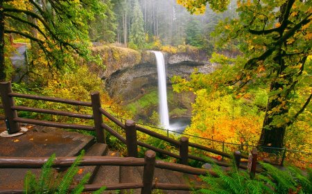 Man, 20, dies in 'horrific accident' after slipping from towering Oregon waterfall