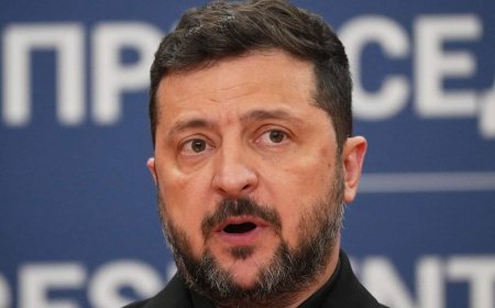 Ukraine has given peace proposals to U.S. in bid for new talks: Zelenskyy