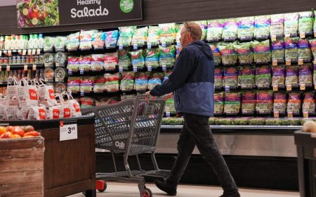 U.S. inflation cooled in July as gas prices fell but costs still high