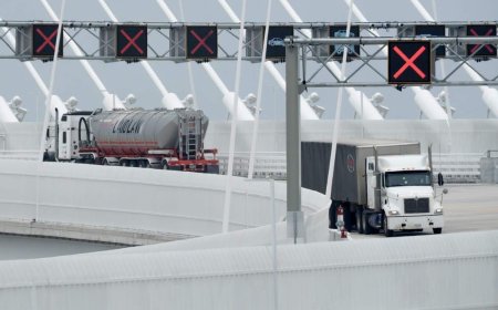 Trump tariffs could see Canadian exporters lose half their revenue: survey