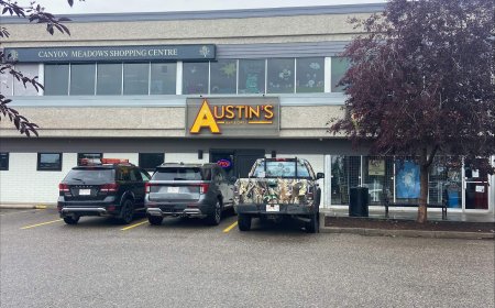 Calgary police investigating masked, armed robbery at restaurant in Canyon Meadows