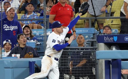 Dodgers star Freddie Freeman takes scary tumble down dugout steps trying to catch pop fly