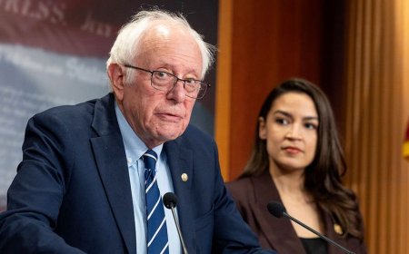 Democrats sound alarm over AI job apocalypse — but labor market isn't following script