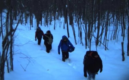 New York Woman Smuggled Indian Illegals Across Northern Border Hours Before Trump Inauguration