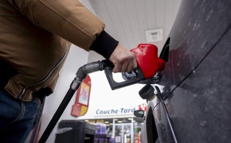 IEA expects world oil demand to fall amid surging gas prices