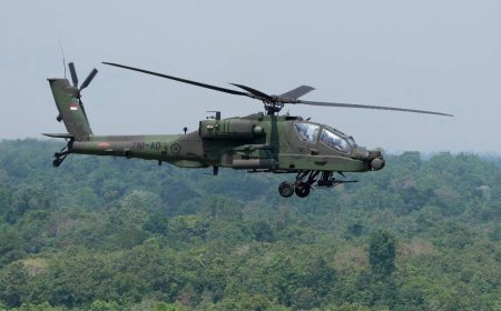 2 soldiers dead after military helicopter crashes in Texas, officials say