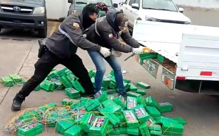 Police seize cocaine bricks with stickers of Norwegian soccer star Erling Haaland all over them