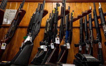 Gun rights groups capitalize after judge reverses decades-old restrictions: 'Monumental'