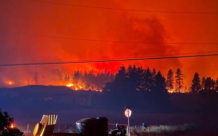 Meadow Valley resident stayed to save his home from wildfire: ‘This is my life’
