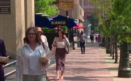 Federal government, Edmonton community groups talk downtown safety