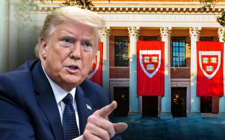 Judge’s Harvard antisemitism ruling sends Trump Justice Department back to drawing board