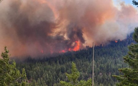 Bald Range wildfire: New orders issued as some residents allowed home