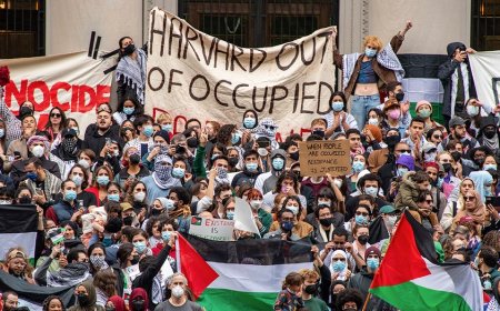 Fox News Campus Radicals Newsletter: Socialist streamer scrapped, a campus hate alert and coddled college kids