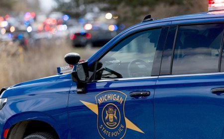 Several people dead including suspect in rural Michigan multi-scene shooting, police say: reports