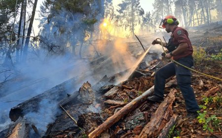 All evacuation orders downgraded for Quilpituk Creek wildfire, residents return home