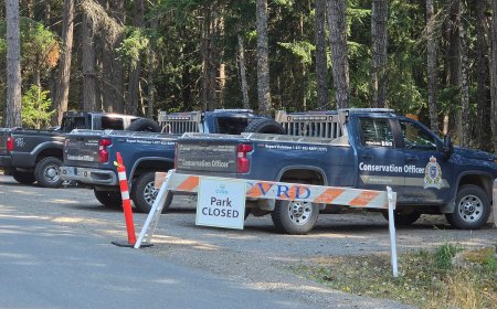Vancouver Island park closed following black bear attack