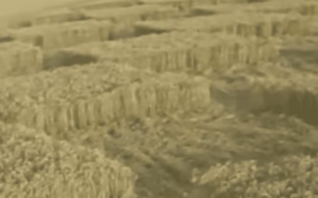 The Crop Circle Data Scientists Still Can’t Explain