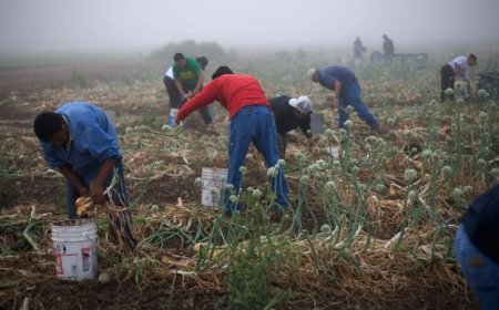 Hundreds of Rural Communities in US Are Already Majority-Minority