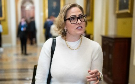 JONATHAN TURLEY: Former Sen Kyrsten Sinema fights affair lawsuit invoking centuries-old marriage tort