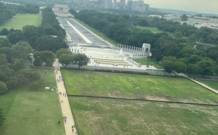 Trump blames vandals for dead grass on National Mall where he hosted 4th of July celebration