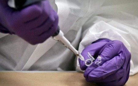 DNA technology helps identify New Brunswick woman decades after death