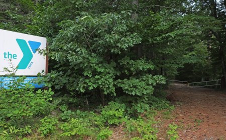 8-year-old boy killed after tree falls at YMCA summer camp in Massachusetts
