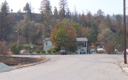Summerland residents return to neighbourhoods forever changed by the Bald Range wildfire