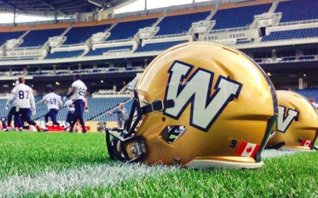 Winnipeg Blue Bombers lose Ethan Ball to season-ending injury