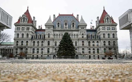 FBI arrests woman who allegedly plotted ISIS-linked attack on New York state Capitol building