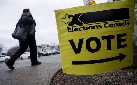 Advance voting in 3 federal byelections starts Friday. Here’s how to vote