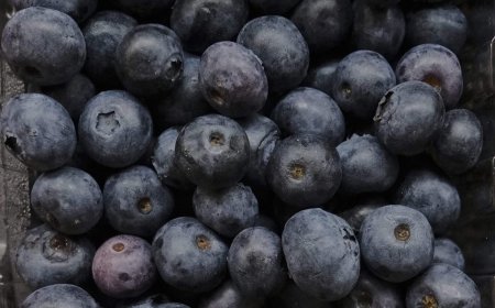 ‘No indication’ U.S. blueberry recall for death risk impacts Canada: CFIA