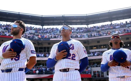 Sneaky raccoon seen helping itself to ballpark fare at Citi Field as bewildered Mets fans look on