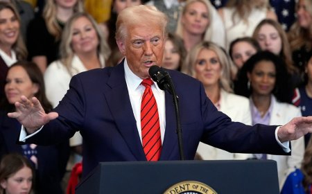 Surprise election upset shows hating Trump is no longer enough as Democratic voters turn to new playbook