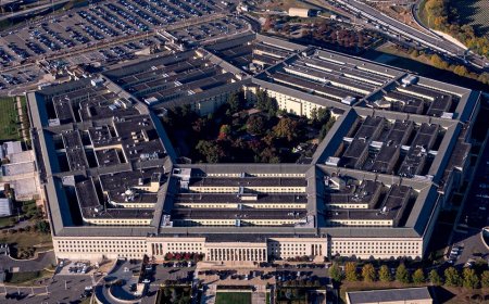 Pentagon officials mulling the firing of military newspaper Stars and Stripes publisher