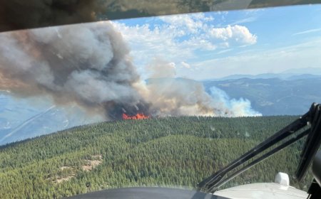Wildfire north of Castlegar grows to 250 hectares