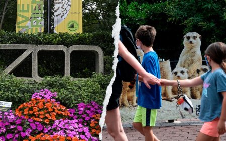Gender equity, DEI, climate action: How the Smithsonian’s woke push ‘infiltrated’ America's most beloved Zoo