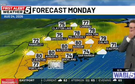 Maine meteorologist suffers giggle attack on live TV after prank backfires spectacularly