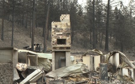 A painful homecoming: Faulder residents return to see what the Bald range fire left behind