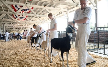 North Carolina warns mobile petting zoo visitors of rabies exposure after baby goats test positive