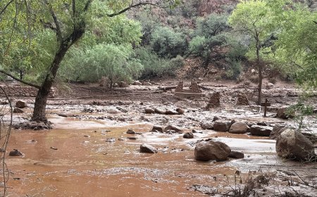 Urgent search underway for more than a dozen people after Grand Canyon flash flood