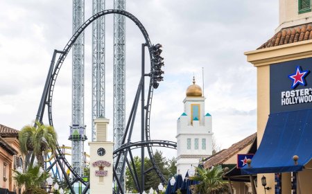 Parkgoer airlifted after Batman roller coaster incident leaves man with fractures to both legs